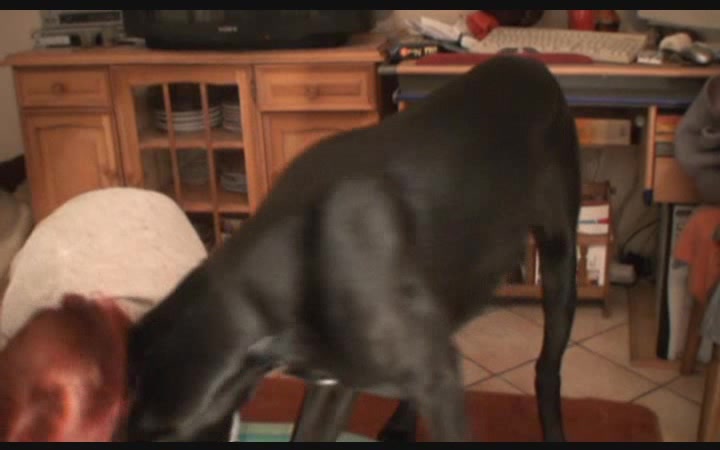 Dog Sex » Sex mit Hund bringt deutsches Girl zum Orgasmus