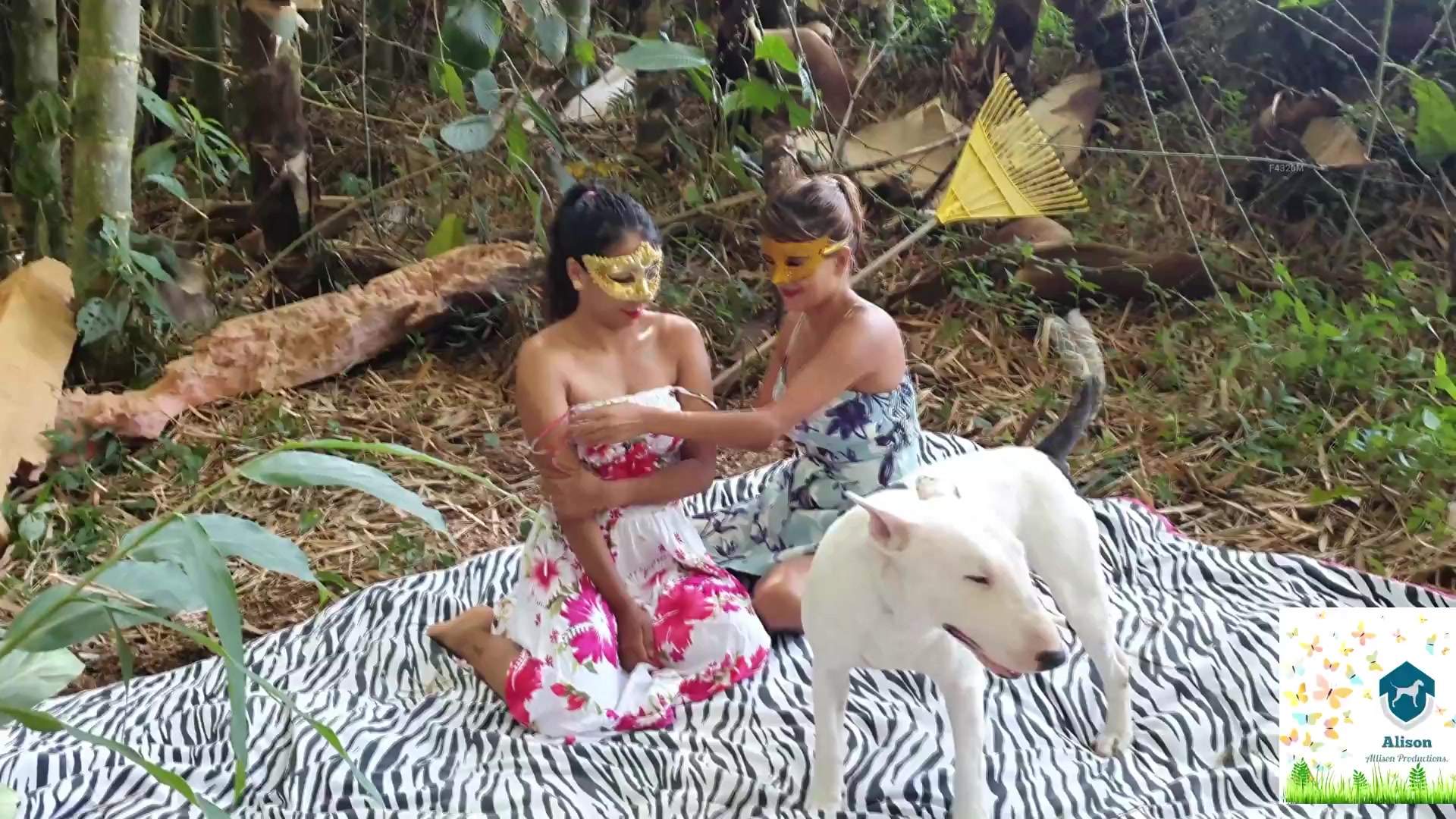 Dog Sex » Hot dominican girls having orgy sex with 2 dogs