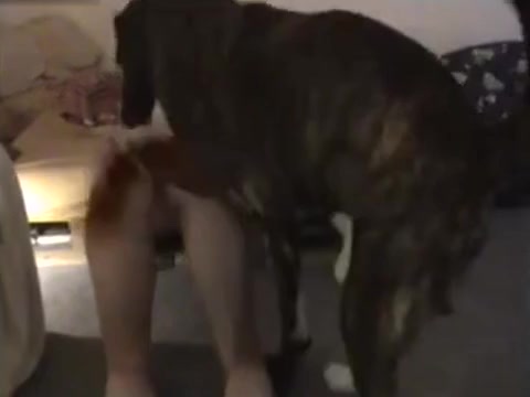 Dog Sex » Pure dog sex pleasure with coming women