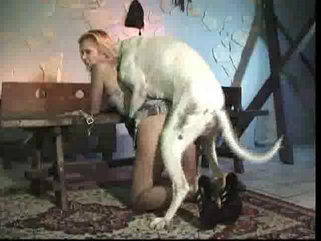 Dog Sex » I my wife and our faithful friend