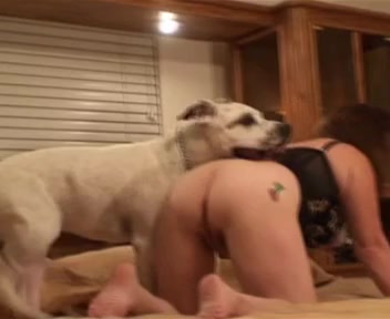 Dog Sex » Sexo con perros  duro y fuerte