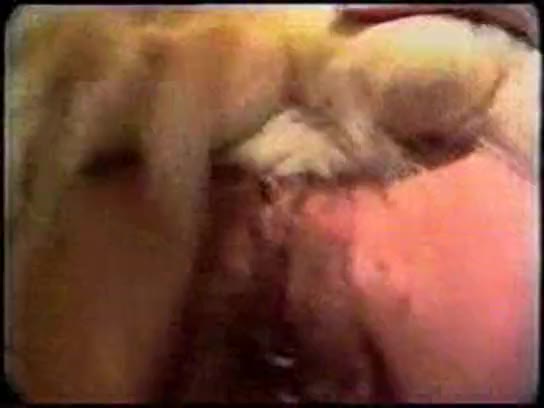 Dog Sex » Knotted