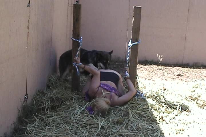 Dog Sex » Yard dog fucks female prisoner chained to poles in the backyard