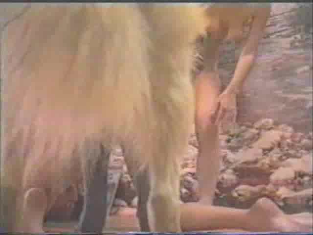 Dog Sex » Licking  pussy