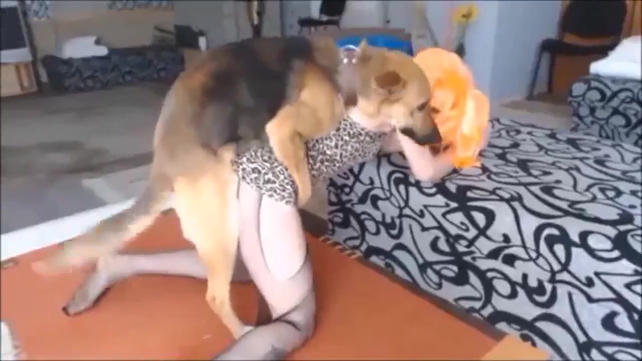 Dog Sex » Hund knulla den vackra tonÃ¥ringen brutalt