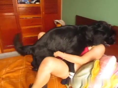 Dog Sex » Dog sex me