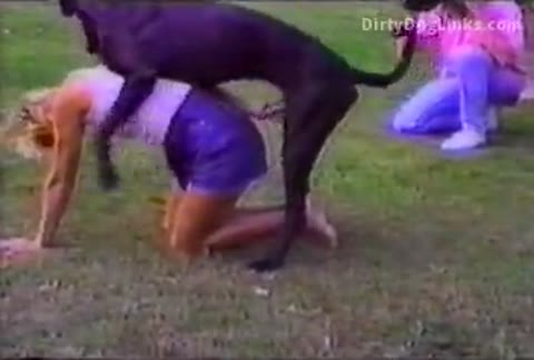 Dog Sex » New Zealand dog sex with danish pet on the lawn
