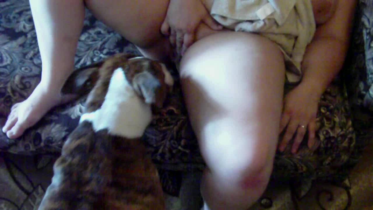 Dog Sex » Porno cu cÃ¢ini Èigani adevÄrat