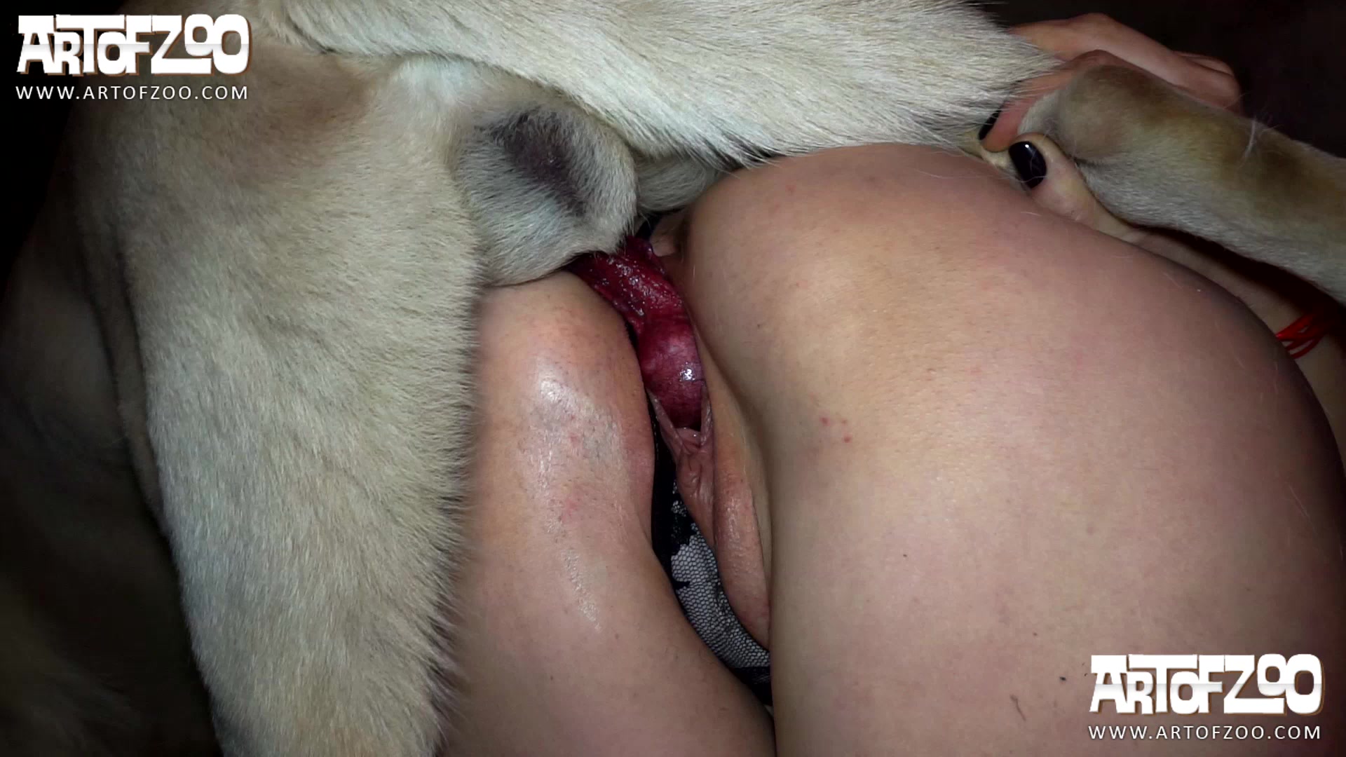 Dog Sex » Great dog sex in the barn. Female orgasm and creampie