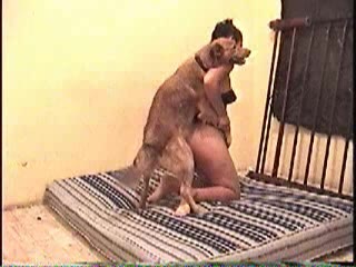 Dog Sex » mom dog style fucks